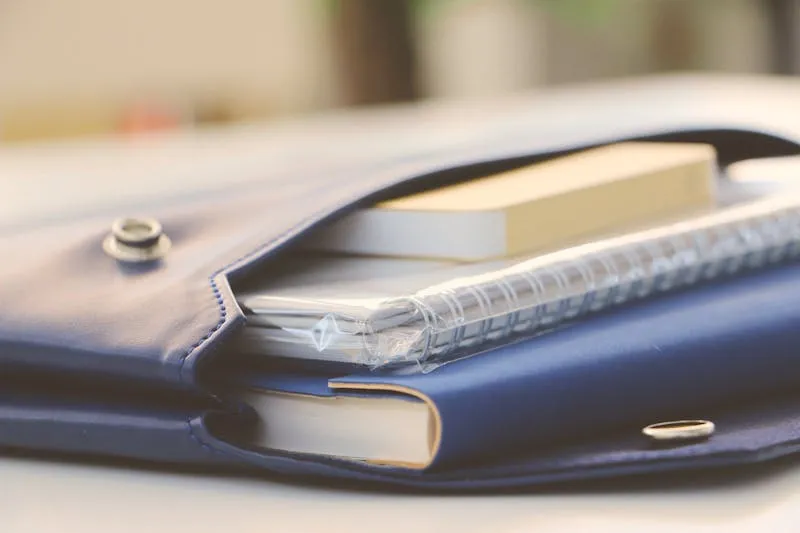 Hobonichi Techo vs Traveler