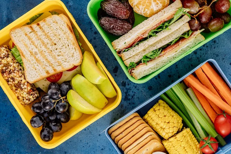 Best Japanese Bento Boxes: A Complete Guide